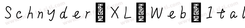 Schnyder XL Web Italic字体转换
